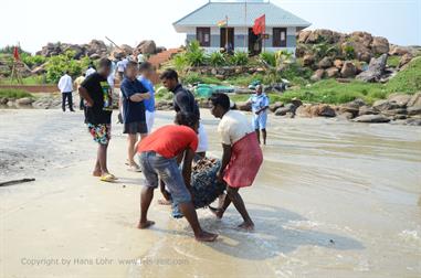 Hawa Beach, Kovalam,_DSC_8932_H600